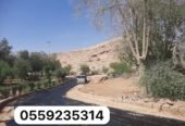 مقاول اسفلت